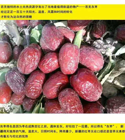 新疆若羌灰枣 原生态健康零食，孕妇儿童的理想选择